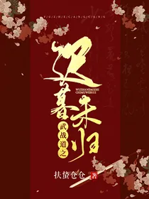武战道之迟暮未归