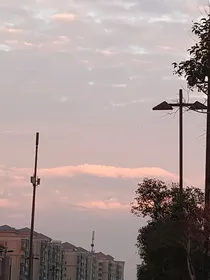 我在酒厂摸鱼（综漫）
