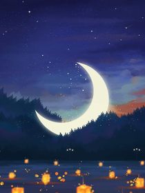 我的音乐梦