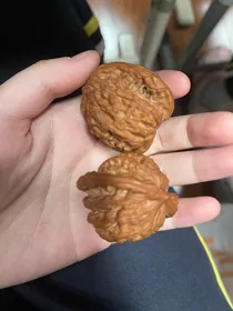 腹黑学弟霸道学长之匆匆那年爱上她