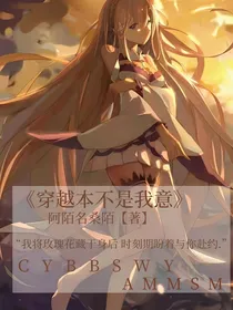 攻略本不是我意