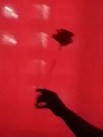 他不是我教官