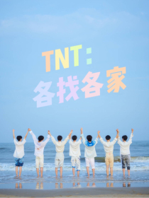 TNT：各找各家