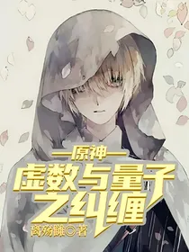 原神：虚数与量子之纠缠
