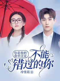 你是我的命中注定：不能错过的你