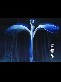 来到另外一个世界，猎魂开始