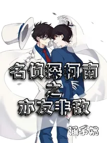 名侦探柯南之亦友非敌