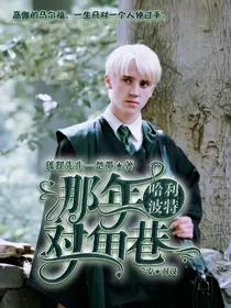 哈利波特：那年对角巷