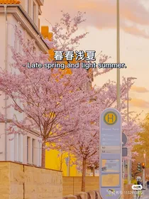 全明星：暮春浅夏