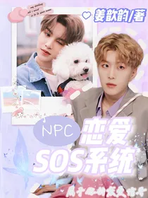 NPC：恋爱SOS系统