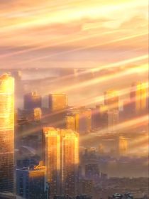 编织梦