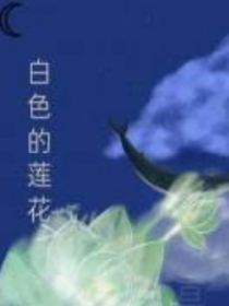 白色的莲花