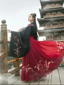 陈情令之凤鸣九天