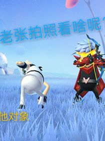 某涛的校园生活