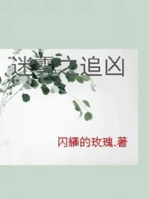 迷案之追凶