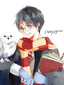 养父Harry