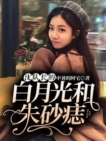 沈队长的白月光和朱砂痣