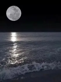 科尔的访谈室