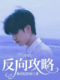 TNT：反向攻略