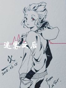查理九世之迷雾之后