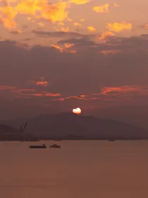南城花已开—