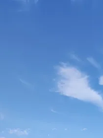 关关和阿哲的故事