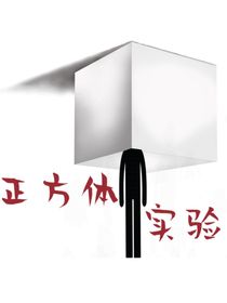 正方体实验