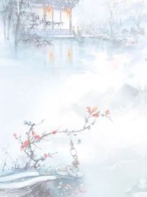穿越之炮灰女二爱上我