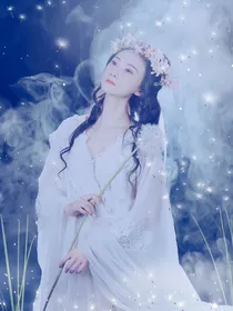 白狐狸小姐与顾先生