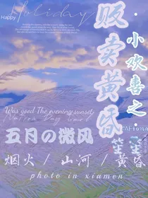 小欢喜之贩卖黄昏