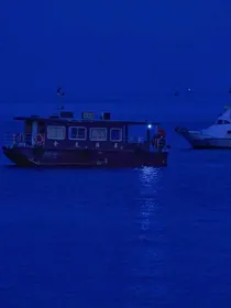 墨少宠婚太强势