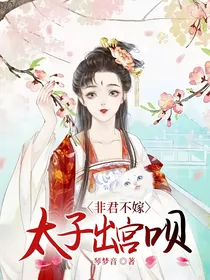 非君不嫁：太子，出宫呗