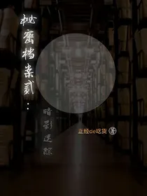 秘密档案贰：暗影迷踪