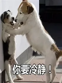 我结婚后，总裁崩了！