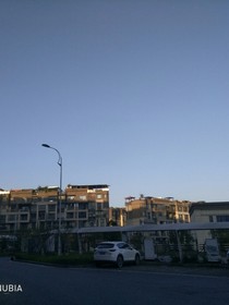不一样的玛丽苏耶