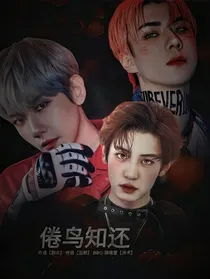 边伯贤：倦鸟知还
