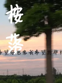 桉落