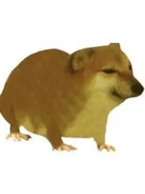 伪装成beta的omeg