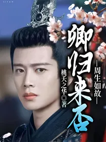 周生如故卿归来否