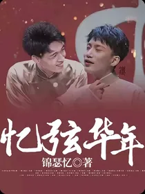 忆弦华年