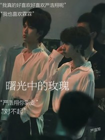 曙光中的玫瑰