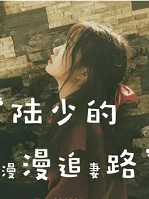 陆少的漫漫追妻路