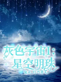 灰色宇宙I：星空明珠