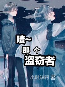 啧，那个盗窃者