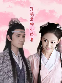 陈情令：泽芜君的小娇妻