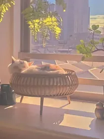 鬼灭之碧海清天