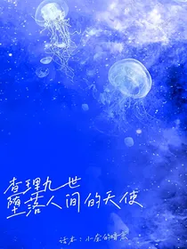 查理九世之堕落人间的天使