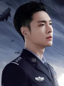 扫黑风暴：折翼鸟