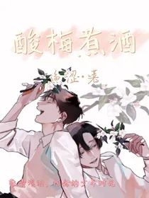 酸梅煮酒