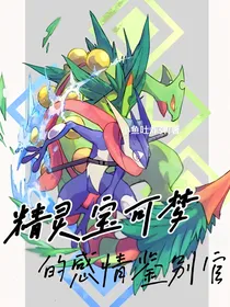 精灵宝可梦：感情鉴别官
